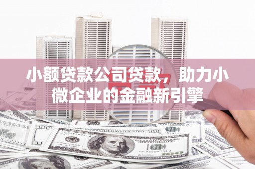 定陶小额贷款公司贷款，助力小微企业的金融新引擎