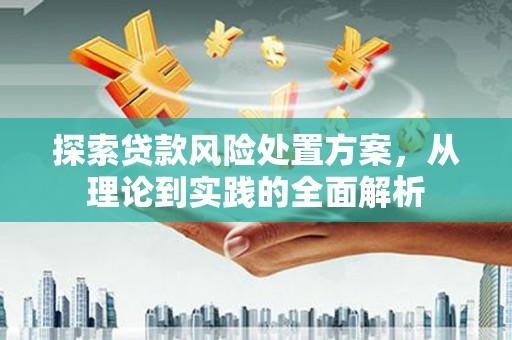 定陶探索贷款风险处置方案，从理论到实践的全面解析