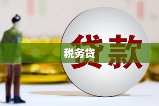 定陶税务贷
