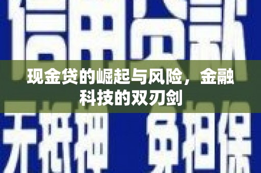 定陶现金贷的崛起与风险，金融科技的双刃剑