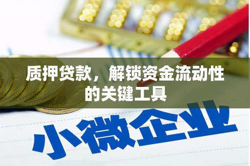 定陶质押贷款，解锁资金流动性的关键工具