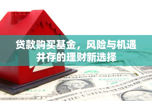 定陶贷款购买基金，风险与机遇并存的理财新选择