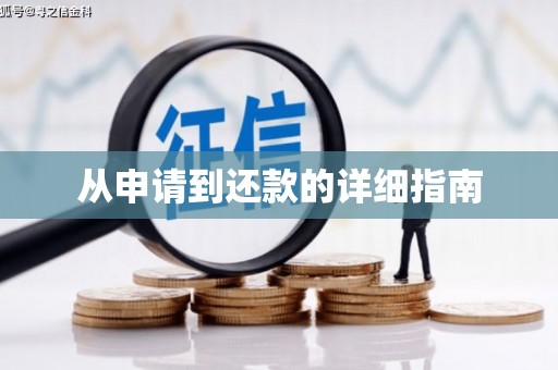 定陶从申请到还款的详细指南