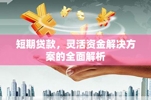 定陶短期贷款，灵活资金解决方案的全面解析