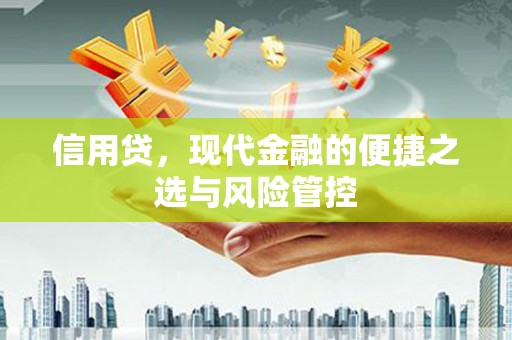 定陶信用贷，现代金融的便捷之选与风险管控