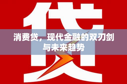 定陶消费贷，现代金融的双刃剑与未来趋势