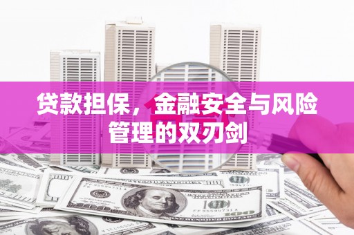 定陶贷款担保，金融安全与风险管理的双刃剑