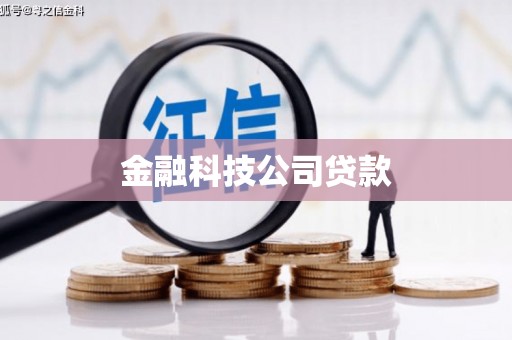 定陶金融科技公司贷款