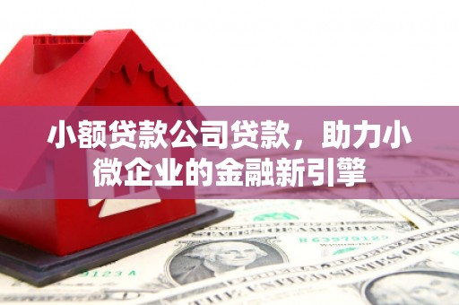 定陶小额贷款公司贷款，助力小微企业的金融新引擎
