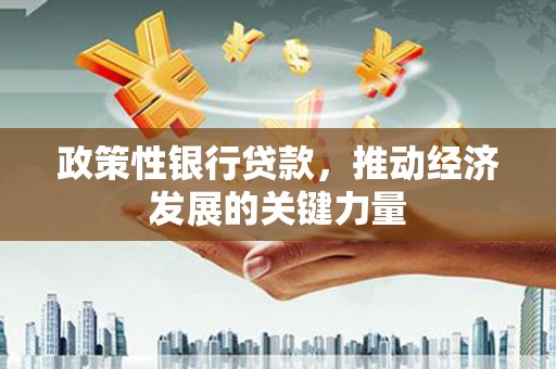 定陶政策性银行贷款，推动经济发展的关键力量