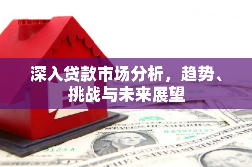 定陶深入贷款市场分析，趋势、挑战与未来展望