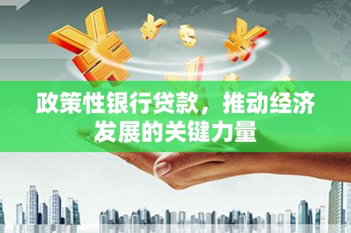 定陶政策性银行贷款，推动经济发展的关键力量