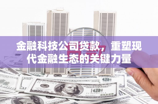 定陶金融科技公司贷款，重塑现代金融生态的关键力量