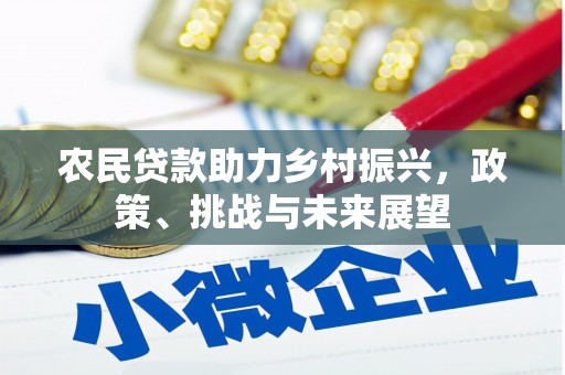 定陶农民贷款助力乡村振兴，政策、挑战与未来展望