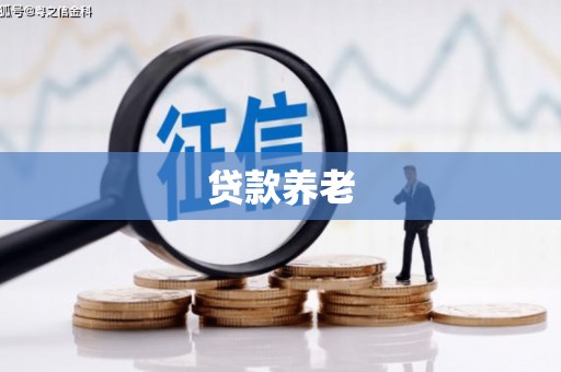 定陶贷款养老