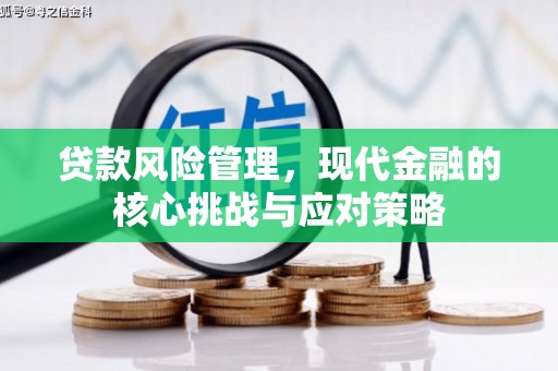 定陶贷款风险管理，现代金融的核心挑战与应对策略