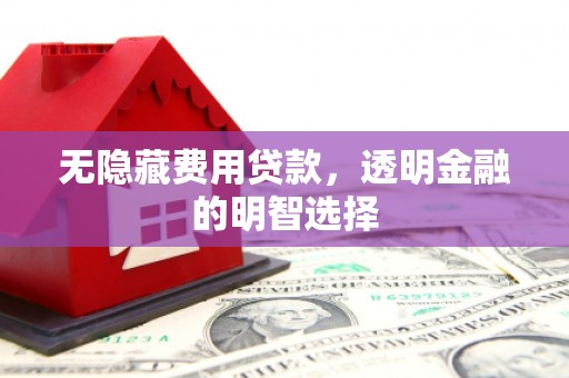 定陶无隐藏费用贷款，透明金融的明智选择