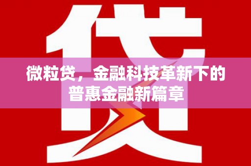 定陶微粒贷，金融科技革新下的普惠金融新篇章