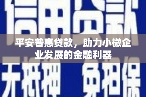 定陶平安普惠贷款，助力小微企业发展的金融利器