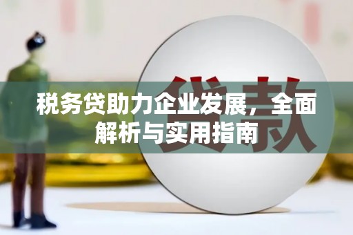 定陶税务贷助力企业发展，全面解析与实用指南