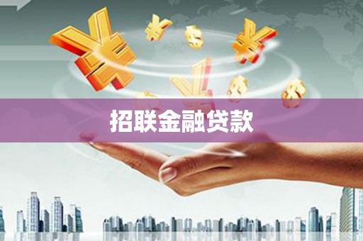 定陶招联金融贷款