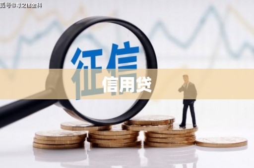 定陶信用贷