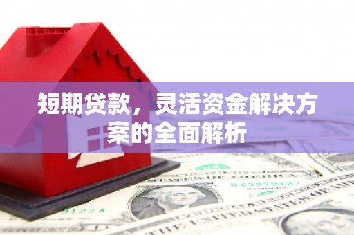 定陶短期贷款，灵活资金解决方案的全面解析
