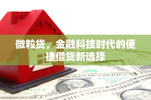 定陶微粒贷，金融科技时代的便捷借贷新选择