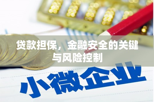 定陶贷款担保，金融安全的关键与风险控制