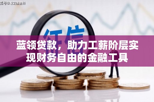 定陶蓝领贷款，助力工薪阶层实现财务自由的金融工具