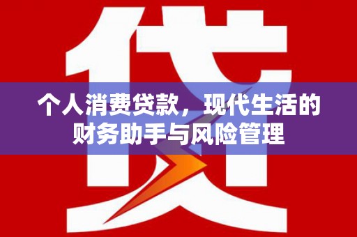 定陶个人消费贷款，现代生活的财务助手与风险管理