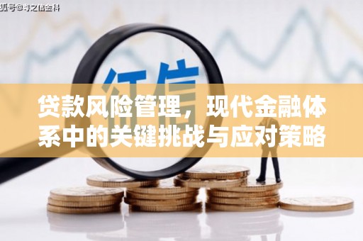 定陶贷款风险管理，现代金融体系中的关键挑战与应对策略