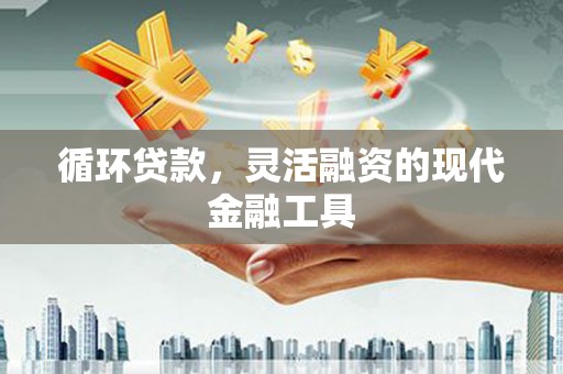 定陶循环贷款，灵活融资的现代金融工具