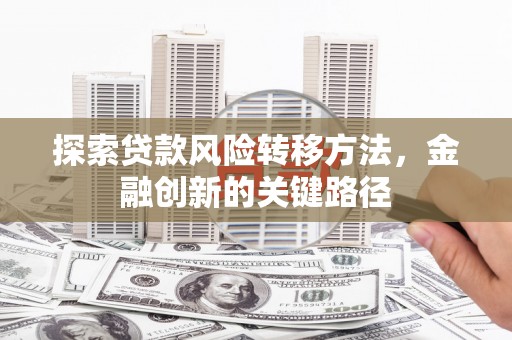 定陶探索贷款风险转移方法，金融创新的关键路径