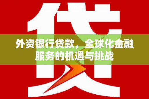 定陶外资银行贷款，全球化金融服务的机遇与挑战