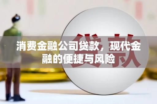 定陶消费金融公司贷款，现代金融的便捷与风险