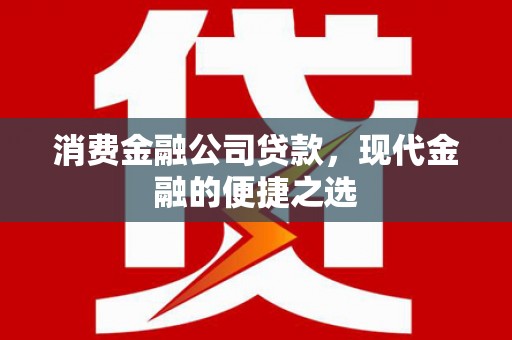 定陶消费金融公司贷款，现代金融的便捷之选
