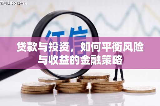 定陶贷款与投资，如何平衡风险与收益的金融策略