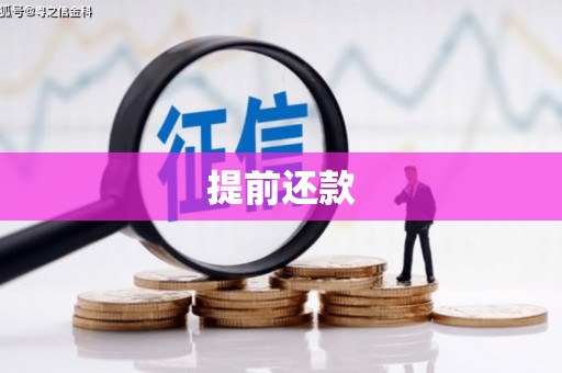 定陶提前还款