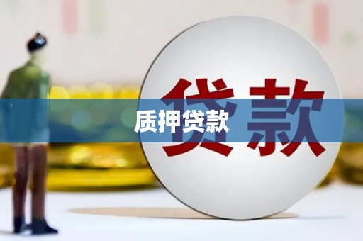 定陶质押贷款