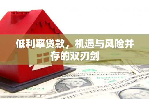 定陶低利率贷款，机遇与风险并存的双刃剑
