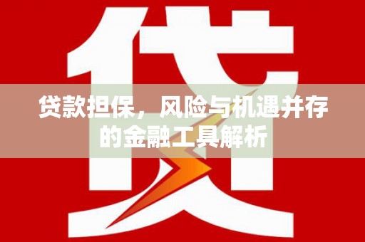 定陶贷款担保，风险与机遇并存的金融工具解析