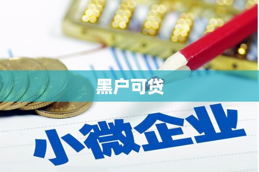 定陶黑户可贷