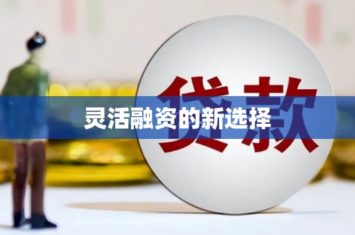 定陶灵活融资的新选择
