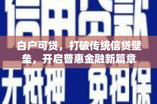 定陶白户可贷，打破传统信贷壁垒，开启普惠金融新篇章