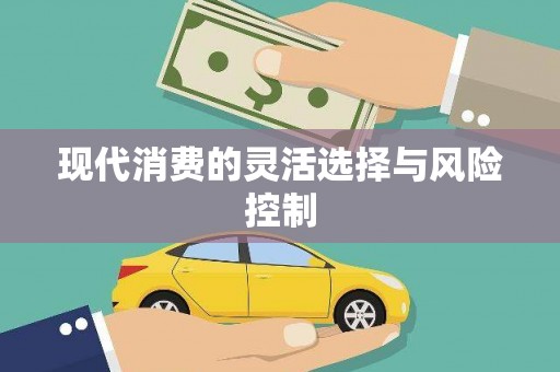 定陶现代消费的灵活选择与风险控制