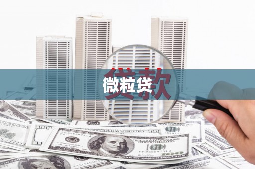 定陶微粒贷