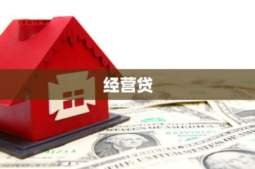 定陶经营贷