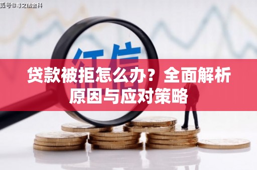 定陶贷款被拒怎么办？全面解析原因与应对策略