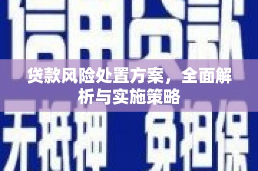 定陶贷款风险处置方案，全面解析与实施策略